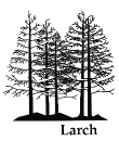 LARCH